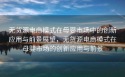 无货源电商模式在母婴市场中的创新应用与前景展望，无货源电商模式在母婴市场的创新应用与前景