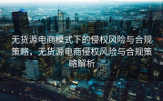 无货源电商模式下的侵权风险与合规策略，无货源电商侵权风险与合规策略解析
