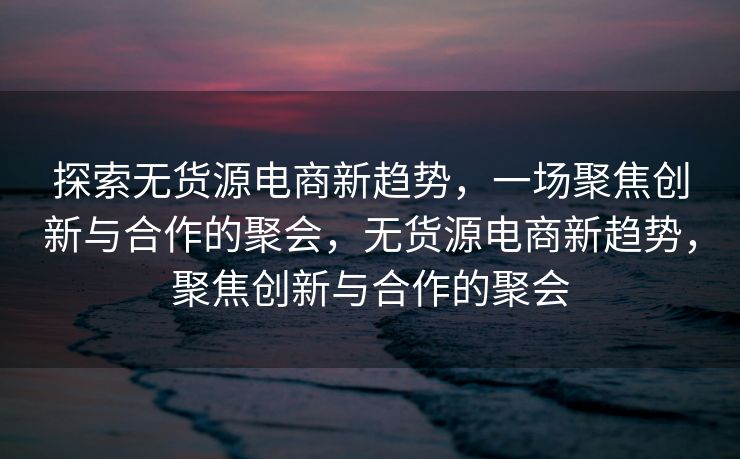 探索无货源电商新趋势，一场聚焦创新与合作的聚会，无货源电商新趋势，聚焦创新与合作的聚会
