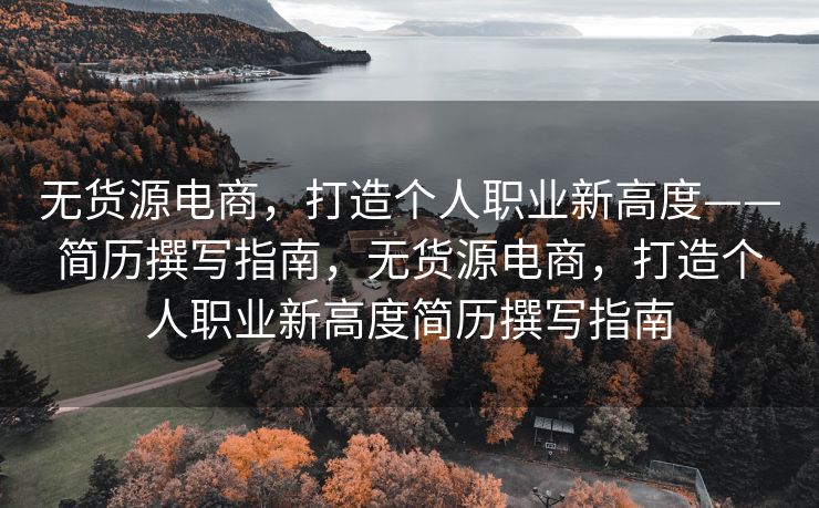 无货源电商，打造个人职业新高度——简历撰写指南，无货源电商，打造个人职业新高度简历撰写指南