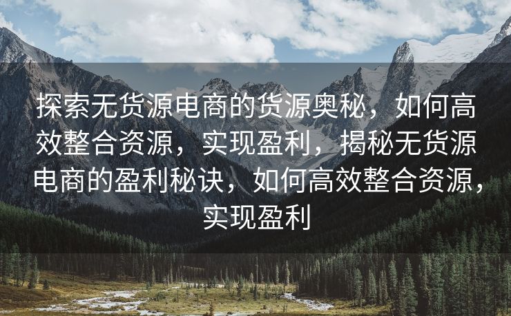 探索无货源电商的货源奥秘，如何高效整合资源，实现盈利，揭秘无货源电商的盈利秘诀，如何高效整合资源，实现盈利