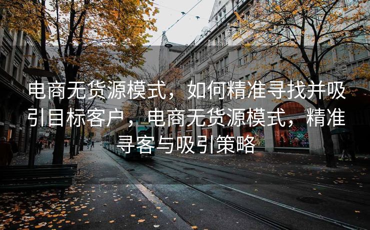 电商无货源模式，如何精准寻找并吸引目标客户，电商无货源模式，精准寻客与吸引策略