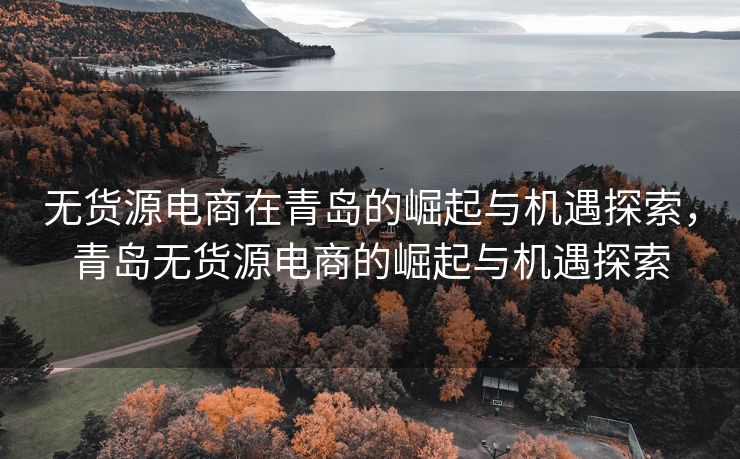无货源电商在青岛的崛起与机遇探索，青岛无货源电商的崛起与机遇探索