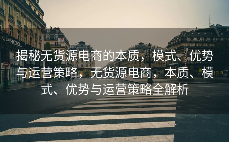 揭秘无货源电商的本质，模式、优势与运营策略，无货源电商，本质、模式、优势与运营策略全解析