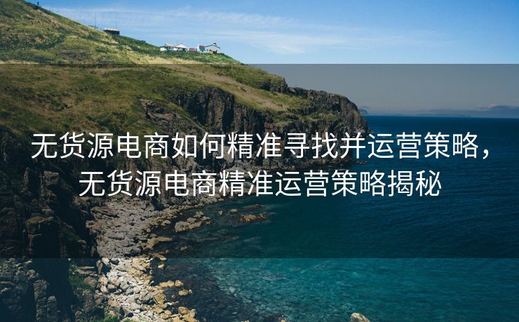 无货源电商如何精准寻找并运营策略，无货源电商精准运营策略揭秘
