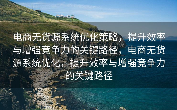 电商无货源系统优化策略，提升效率与增强竞争力的关键路径，电商无货源系统优化，提升效率与增强竞争力的关键路径