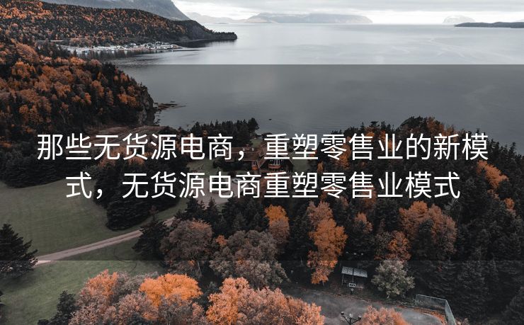 那些无货源电商，重塑零售业的新模式，无货源电商重塑零售业模式