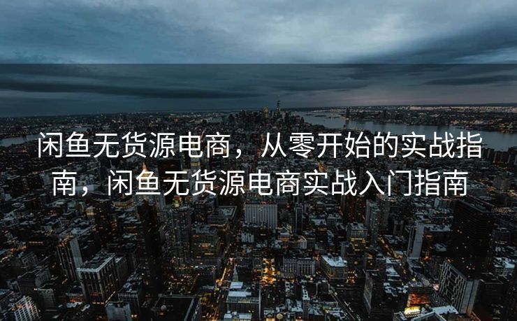 闲鱼无货源电商，从零开始的实战指南，闲鱼无货源电商实战入门指南