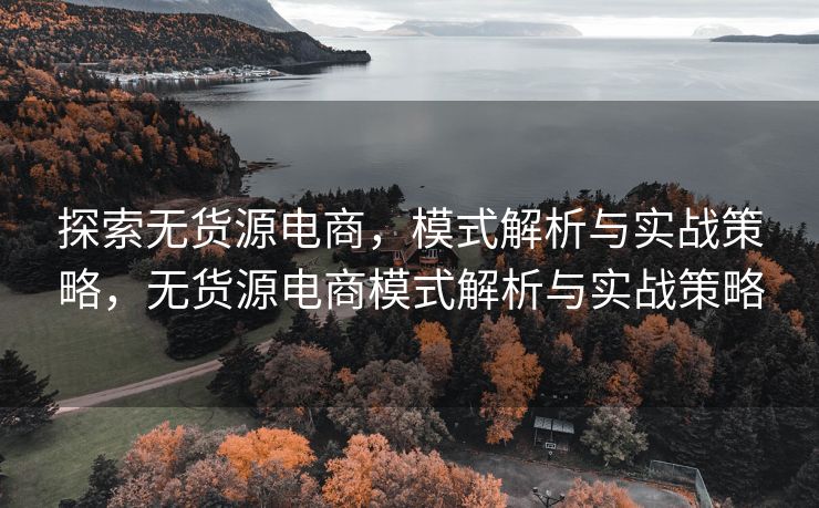 探索无货源电商，模式解析与实战策略，无货源电商模式解析与实战策略