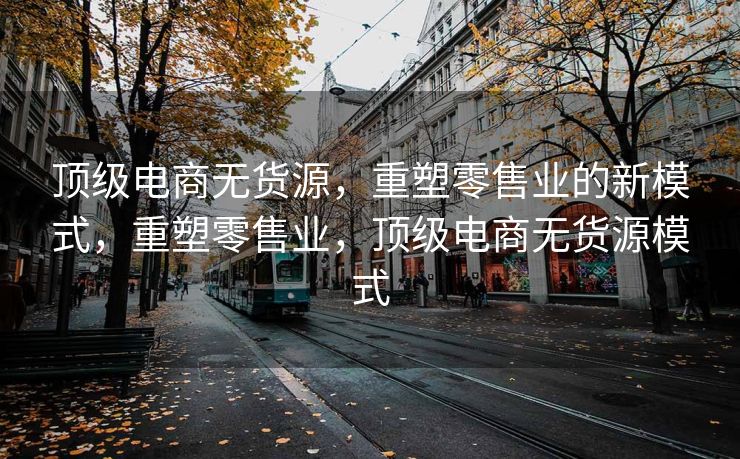 顶级电商无货源，重塑零售业的新模式，重塑零售业，顶级电商无货源模式