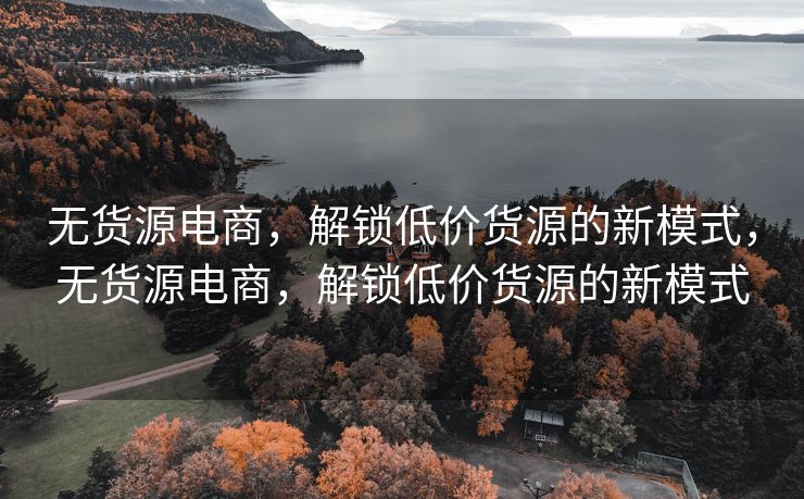 无货源电商，解锁低价货源的新模式，无货源电商，解锁低价货源的新模式
