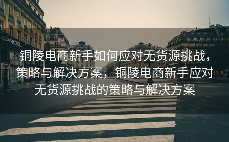 铜陵电商新手如何应对无货源挑战，策略与解决方案，铜陵电商新手应对无货源挑战的策略与解决方案
