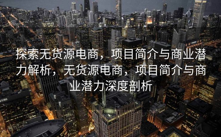 探索无货源电商，项目简介与商业潜力解析，无货源电商，项目简介与商业潜力深度剖析