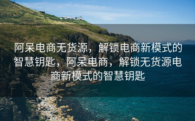 阿呆电商无货源，解锁电商新模式的智慧钥匙，阿呆电商，解锁无货源电商新模式的智慧钥匙