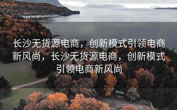 长沙无货源电商，创新模式引领电商新风尚，长沙无货源电商，创新模式引领电商新风尚