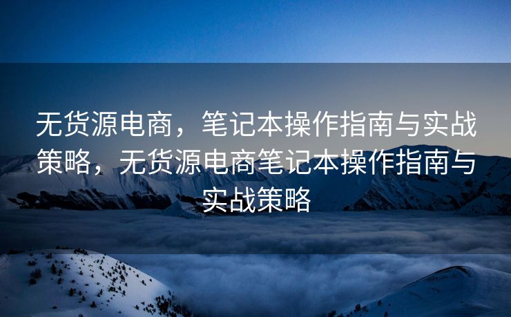 无货源电商，笔记本操作指南与实战策略，无货源电商笔记本操作指南与实战策略