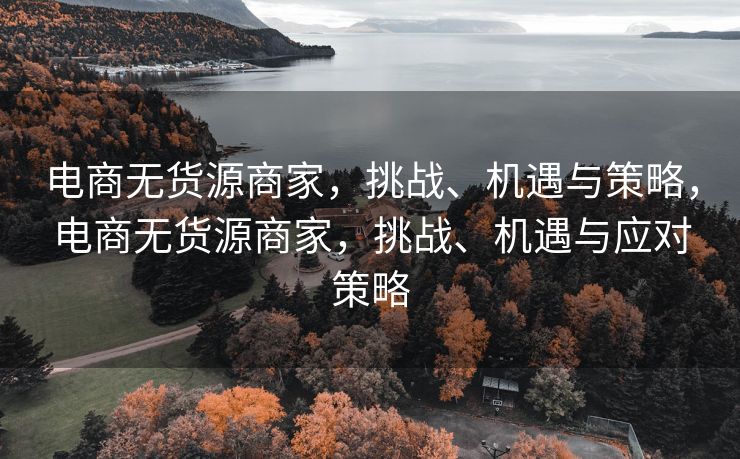 电商无货源商家，挑战、机遇与策略，电商无货源商家，挑战、机遇与应对策略