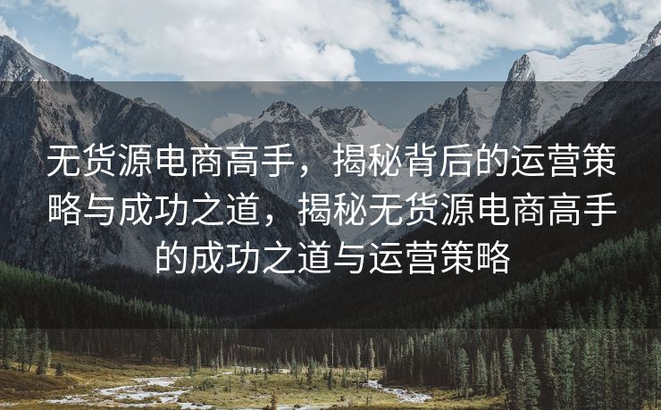无货源电商高手，揭秘背后的运营策略与成功之道，揭秘无货源电商高手的成功之道与运营策略