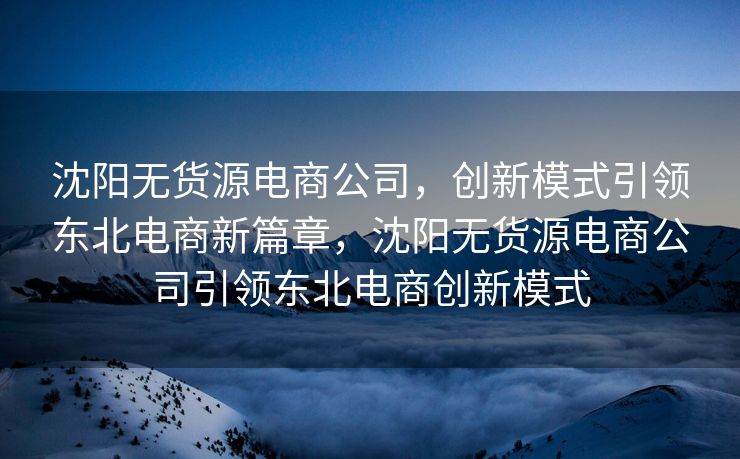 沈阳无货源电商公司，创新模式引领东北电商新篇章，沈阳无货源电商公司引领东北电商创新模式