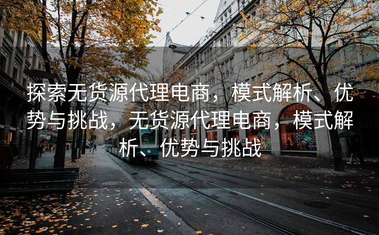 探索无货源代理电商，模式解析、优势与挑战，无货源代理电商，模式解析、优势与挑战