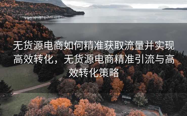 无货源电商如何精准获取流量并实现高效转化，无货源电商精准引流与高效转化策略