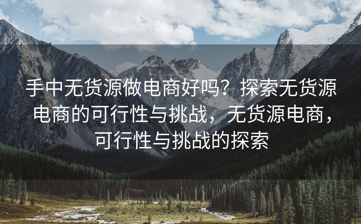 手中无货源做电商好吗？探索无货源电商的可行性与挑战，无货源电商，可行性与挑战的探索