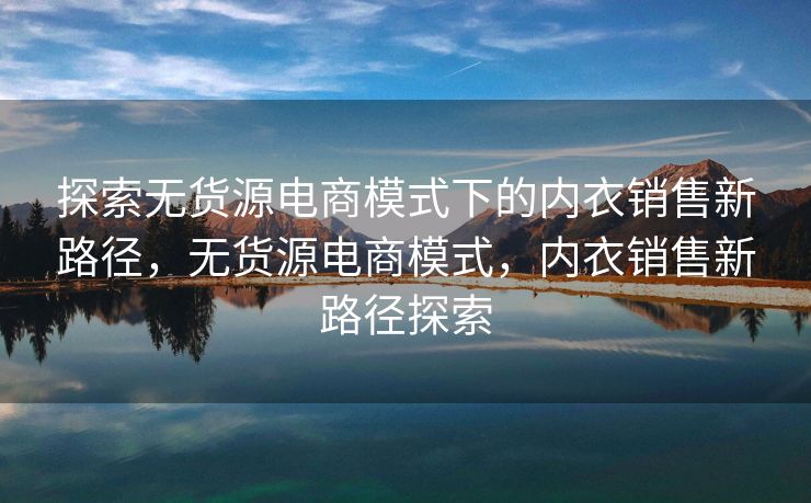 探索无货源电商模式下的内衣销售新路径，无货源电商模式，内衣销售新路径探索