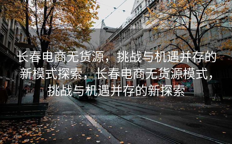 长春电商无货源，挑战与机遇并存的新模式探索，长春电商无货源模式，挑战与机遇并存的新探索