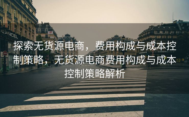 探索无货源电商，费用构成与成本控制策略，无货源电商费用构成与成本控制策略解析