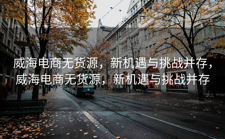 威海电商无货源，新机遇与挑战并存，威海电商无货源，新机遇与挑战并存
