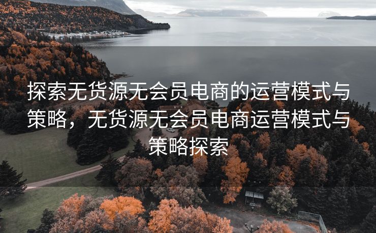 探索无货源无会员电商的运营模式与策略，无货源无会员电商运营模式与策略探索