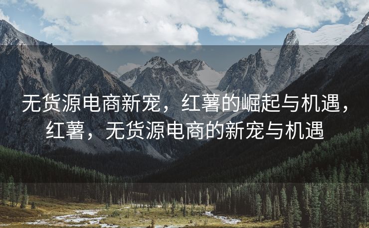 无货源电商新宠，红薯的崛起与机遇，红薯，无货源电商的新宠与机遇