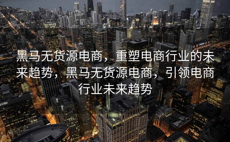 黑马无货源电商，重塑电商行业的未来趋势，黑马无货源电商，引领电商行业未来趋势
