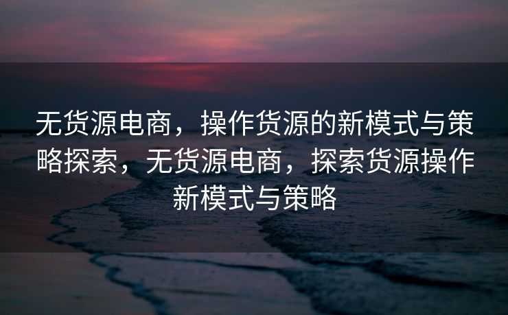 无货源电商，操作货源的新模式与策略探索，无货源电商，探索货源操作新模式与策略