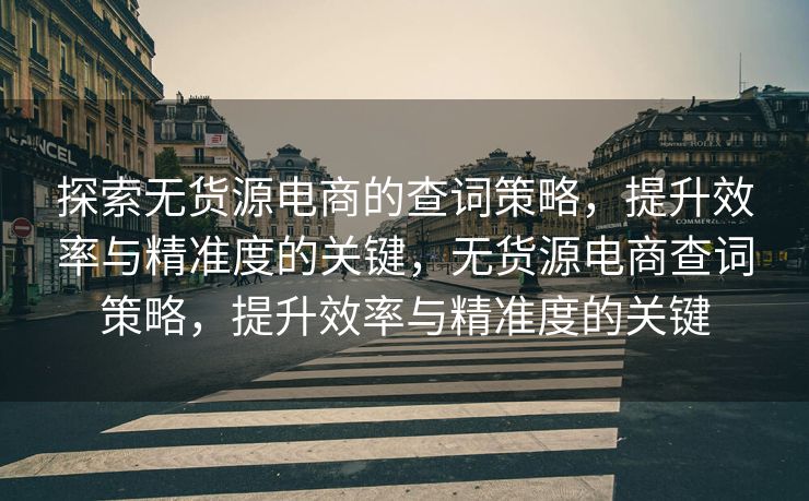 探索无货源电商的查词策略，提升效率与精准度的关键，无货源电商查词策略，提升效率与精准度的关键