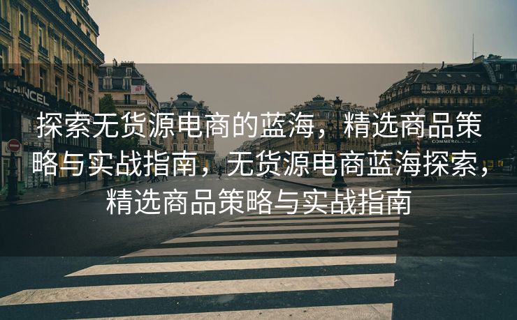 探索无货源电商的蓝海，精选商品策略与实战指南，无货源电商蓝海探索，精选商品策略与实战指南