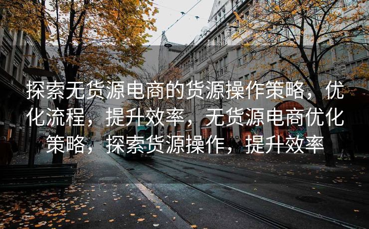 探索无货源电商的货源操作策略，优化流程，提升效率，无货源电商优化策略，探索货源操作，提升效率