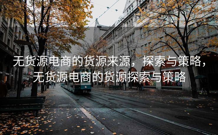 无货源电商的货源来源，探索与策略，无货源电商的货源探索与策略