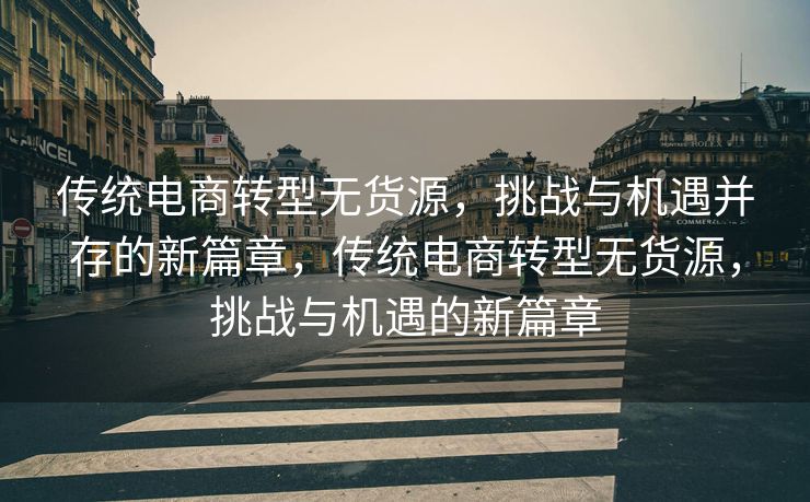 传统电商转型无货源，挑战与机遇并存的新篇章，传统电商转型无货源，挑战与机遇的新篇章
