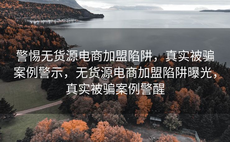 警惕无货源电商加盟陷阱，真实被骗案例警示，无货源电商加盟陷阱曝光，真实被骗案例警醒