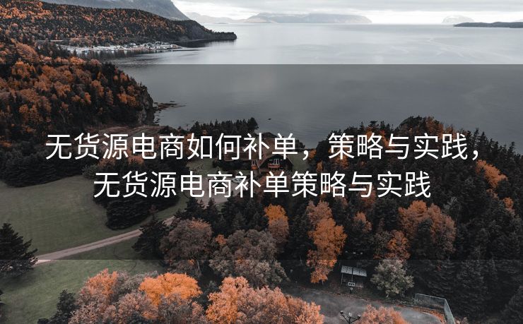 无货源电商如何补单，策略与实践，无货源电商补单策略与实践