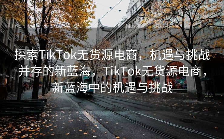 探索TikTok无货源电商，机遇与挑战并存的新蓝海，TikTok无货源电商，新蓝海中的机遇与挑战