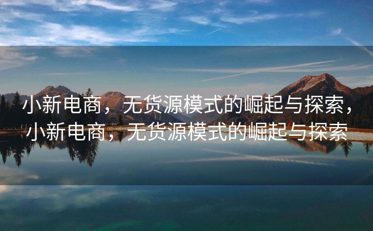 小新电商，无货源模式的崛起与探索，小新电商，无货源模式的崛起与探索