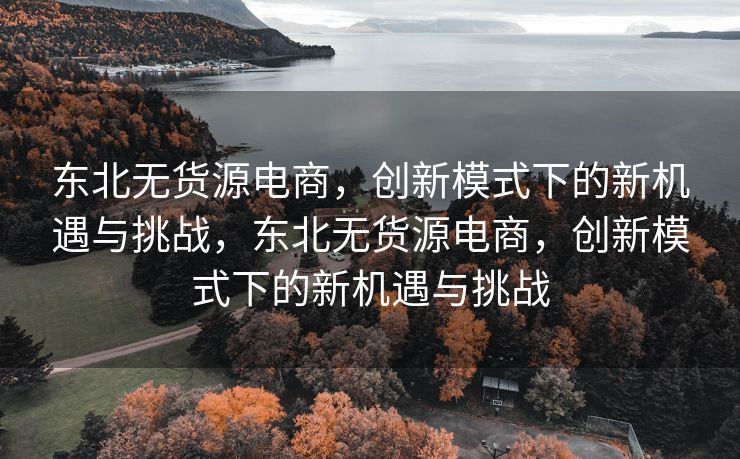东北无货源电商，创新模式下的新机遇与挑战，东北无货源电商，创新模式下的新机遇与挑战