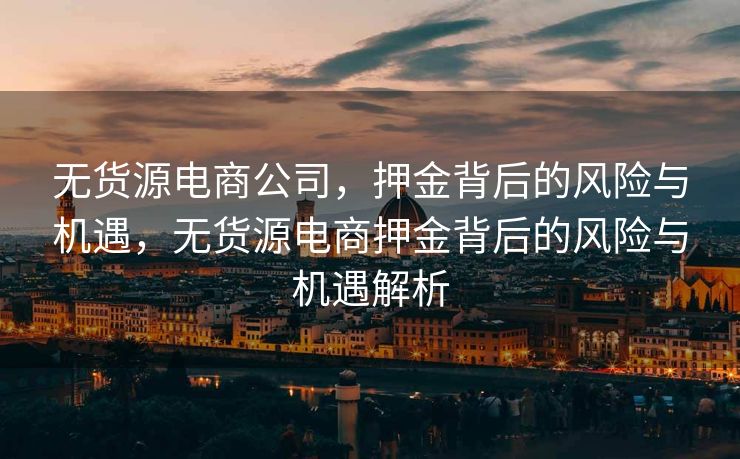 无货源电商公司，押金背后的风险与机遇，无货源电商押金背后的风险与机遇解析