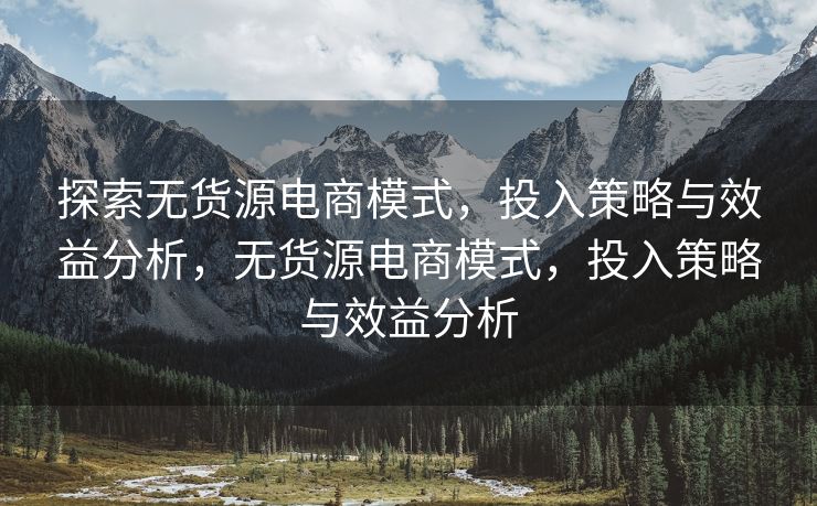 探索无货源电商模式，投入策略与效益分析，无货源电商模式，投入策略与效益分析