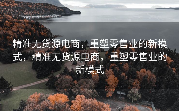 精准无货源电商，重塑零售业的新模式，精准无货源电商，重塑零售业的新模式