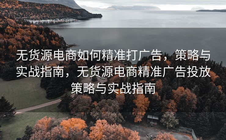 无货源电商如何精准打广告，策略与实战指南，无货源电商精准广告投放策略与实战指南