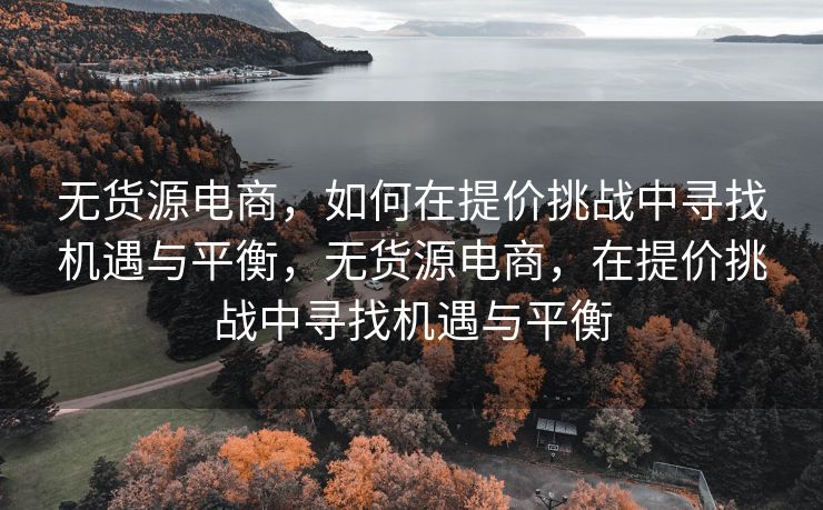 无货源电商，如何在提价挑战中寻找机遇与平衡，无货源电商，在提价挑战中寻找机遇与平衡