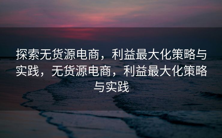探索无货源电商，利益最大化策略与实践，无货源电商，利益最大化策略与实践